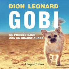 Gobi. Un piccolo cane con un grande cuore