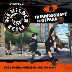 Folge 8 (Das Original-Hörspiel zur TV-Serie)