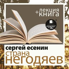 Страна негодяев + Лекция 