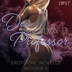 Begierde 2 - Der Professor: Erotische Novelle