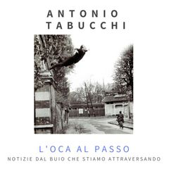 L'oca al passo