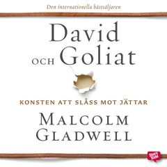 David och Goliat: konsten att slåss mot jättar