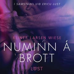 Numinn á brott - Erótísk smásaga