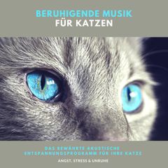 Beruhigende Musik für Katzen