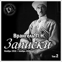 Записки. Том 2. Ноябрь 1916 г – ноябрь 1920 г.