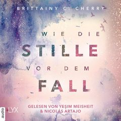 Wie die Stille vor dem Fall. Erstes Buch - Chances-Reihe, Band