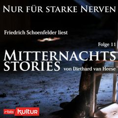 Mitternachtsstories von Diethard van Heese