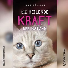 Die heilende Kraft der Katzen