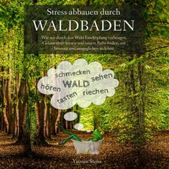 Stress abbauen durch Waldbaden