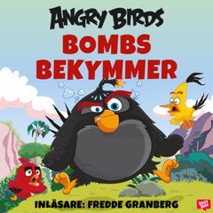 Angry Birds - Bombs bekymmer