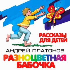 Разноцветная бабочка