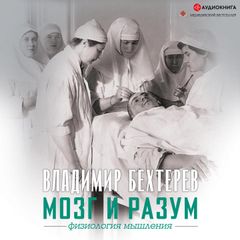 Мозг и разум: физиология мышления