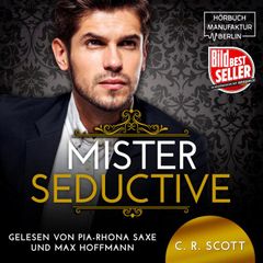 Mister Seductive