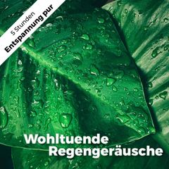 Wohltuende Regengeräusche