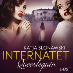Queerlequin: Internatet