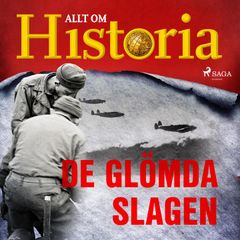 De glömda slagen