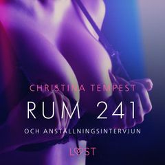 Rum 241 och Anställningsintervjun - erotiska noveller