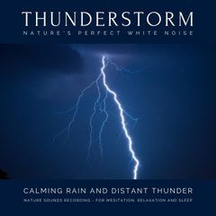 Calming Rain and Distant Thunder - Thunderstorm Nature Sounds Recording - for Meditation, Relaxation and Sleep - Nature's Perfect White Noise