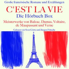 C'est la vie: Große französische Romane und Erzählungen