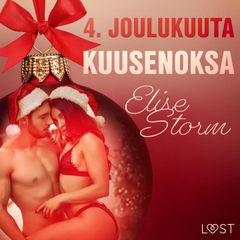 4. joulukuuta: Kuusenoksa – eroottinen joulukalenteri