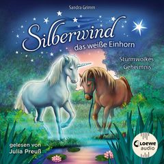 Silberwind, das weiße Einhorn (Band 4) - Sturmwolkes Geheimnis