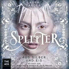 Splitter aus Silber und Eis