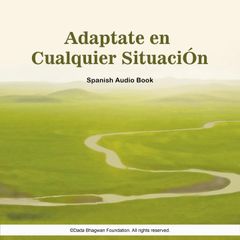 Adaptate en Cualquier SituaciÓn - Spanish Audio Book