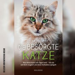 Die besorgte Katze