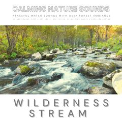 Peaceful Water Sounds With Deep Forest Ambiance: Wilderness Stream & Babbling Brook