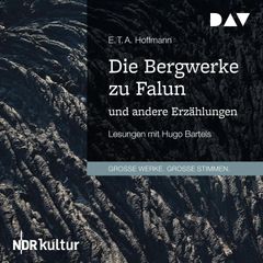 Die Bergwerke zu Falun und andere Erzählungen