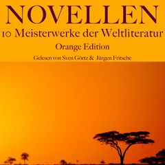 Novellen: Zehn Meisterwerke der Weltliteratur