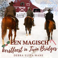 Een Magisch Kerstfeest in Twin Bridges