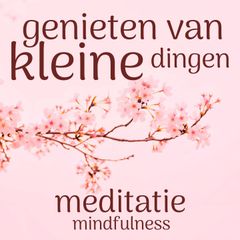 Genieten van de Kleine Dingen Meditatie