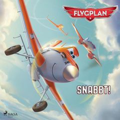 Flygplan - Snabbt!