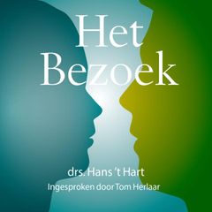 Het Bezoek