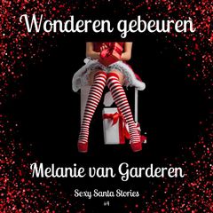 Wonderen Gebeuren: Sexy Santa Kerst 4