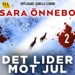 Det lider mot jul (del 2)