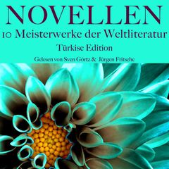 Novellen: Zehn Meisterwerke der Weltliteratur