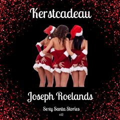 Kerstcadeau: Sexy Santa Kerst 12