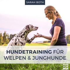 Hundetraining für Welpen und Junghunde