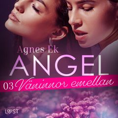 Angel 3: Väninnor emellan - Erotisk novell