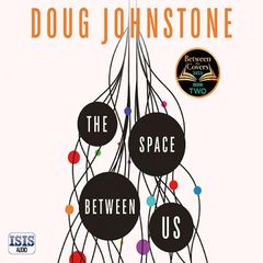 Space Between Us, The