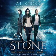 Salt & Stone - Audiobook