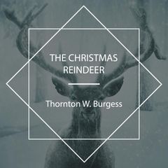 The Christmas Reindeer