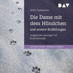 Die Dame mit dem Hündchen und andere Erzählungen