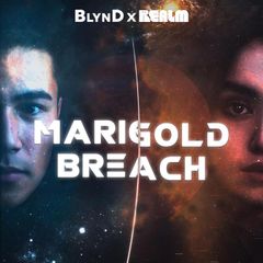 Marigold Breach