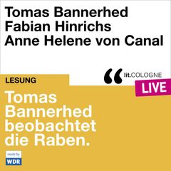 Tomas Bannerhed beobachtet die Raben