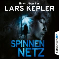 Spinnennetz