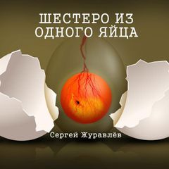 Шестеро из одного яйца