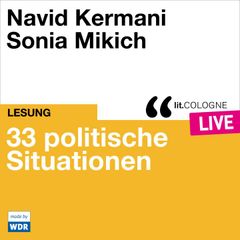 33 politische Situationen